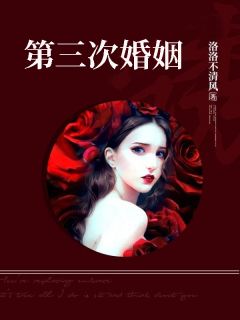 第三次婚姻小说 苏瑾晏川在线阅读
