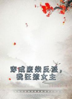 《穿成废柴反派，我狂撩女主》傅天凌苏幻雪章节列表在线试读
