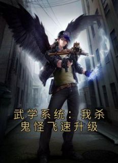 《武学系统：我杀鬼怪飞速升级》小说免费阅读 刘洋叶风小说大结局在线阅读