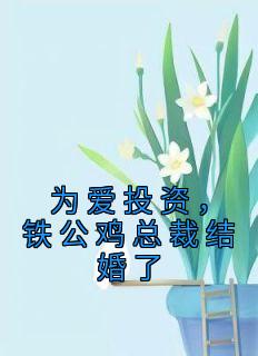林久柒司少谦小说 《为爱投资，铁公鸡总裁结婚了》小说全文免费阅读