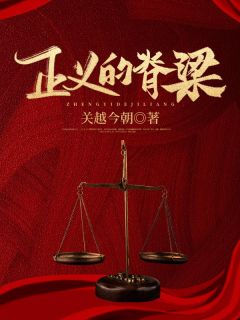 《正义的脊梁》小说大结局免费阅读 赵林然金有财小说阅读